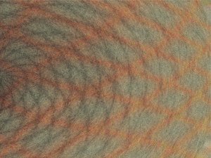 排行推荐：适合初学者的科普自然摄影教程